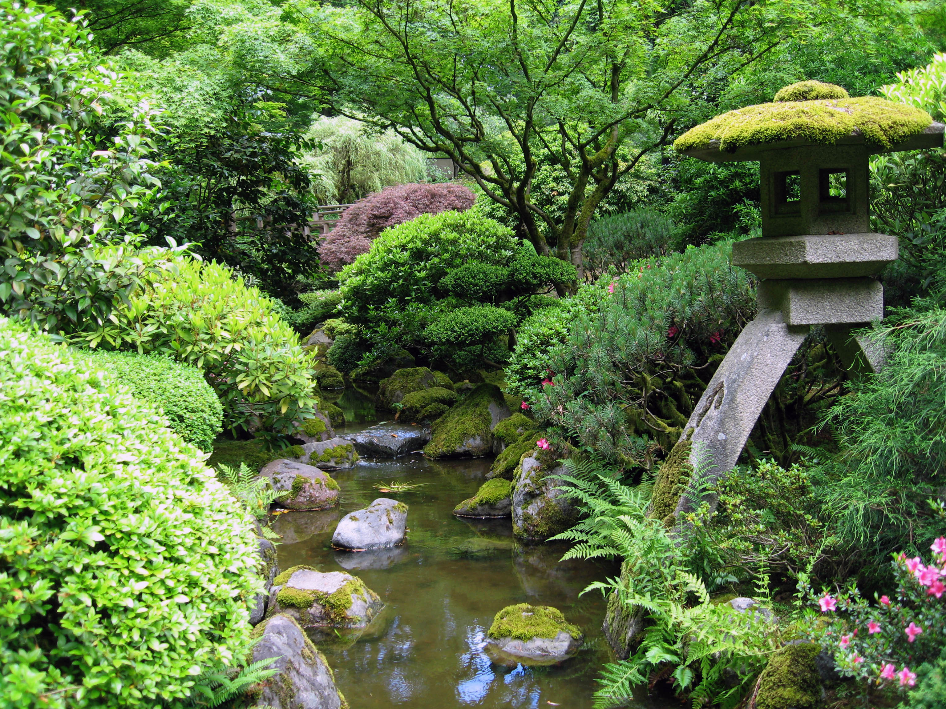 japanse tuin | Portland OR